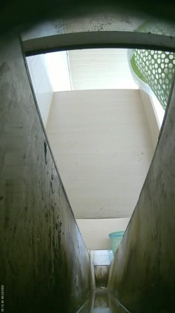 食品厂女厕偷拍 ️7绝顶视角 多逼同框临场感是十足牛仔裤妹子大骚逼侧对镜头 截图10