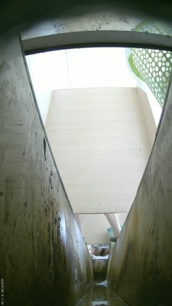 食品厂女厕偷拍 ️7绝顶视角 多逼同框临场感是十足牛仔裤妹子大骚逼侧对镜头 截图12