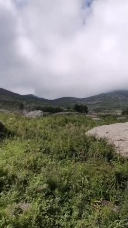 追求自由，不愿在嵴索在大城市，完全释放骚穴，叫声也跟大自然融为一体！ 截图9