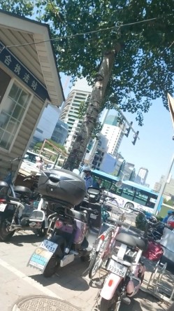 人妻熟女控必备！天生妖娆风骚脸淫荡骚妻【小愤青】露脸性爱自拍视图集，大白天街边车震居家各种啪啪相当反差 截图10