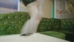 歌厅探花陈先生_第一场沙发啪啪两妹子 截图16