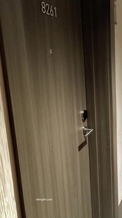 【极品稀缺 ️酒店民宿录音】真实录音各种情侣偷情夫妻学生情侣开房性爱录音带视频 声音清晰节奏感超强 女友酒后放开的叫 截图1