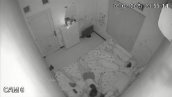 黑客破解家庭网络摄像头偷拍 极品夫妻 的日常性生活每次啪啪都需要道具插逼自慰热身再开干 截图1