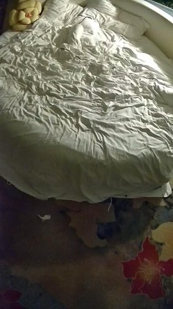 情趣台 小酥乳的小少妇被男子带去酒店 两天一夜操了多次 少妇应该是吃药了 都是直接内射 截图8