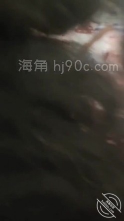 外站20万粉丝，PUA约啪大神【风花雪夜】，长辈雪姨让我使劲操死她，内射她骚逼，内射长辈真刺激 截图13