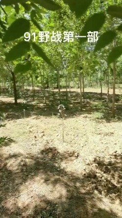 天津夫妻 丛林野战楼道打炮居家阳台干逼，无所不玩老夫老妻寻求刺激了！ 截图1