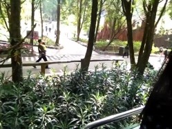 《台湾情侣泄密》大学情侣的私密生活 ️被渣男毕业后曝光 截图16