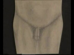 国产性教育片 医学视频阳痿早洩的治疗和壮阳 截图13