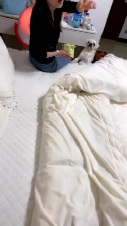小哥网上聊了很久的高颜值极品美女终于勾搭成功约到家中,洗澡时已经在浴室干她了,又到床上狠狠插,逼毛真旺.国语! 截图2