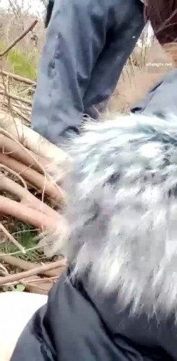 漂亮户外美女主播【雅美蝶】户外勾搭路人口交啪啪偷情玩刺激 户外野战田间小路跪舔J8 席地而战 这个路人太幸运 截图5