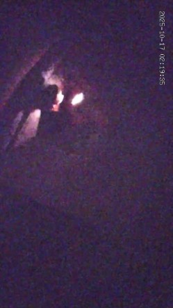酒店偷拍 年轻情侣开房小哥开干前先给漂亮女友拍个淫照口爆后入不能少 截图3