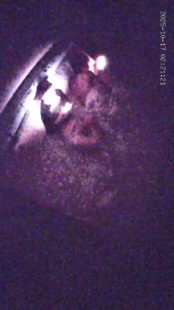 酒店偷拍 年轻情侣开房小哥开干前先给漂亮女友拍个淫照口爆后入不能少 截图4