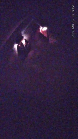 酒店偷拍 年轻情侣开房小哥开干前先给漂亮女友拍个淫照口爆后入不能少 截图12