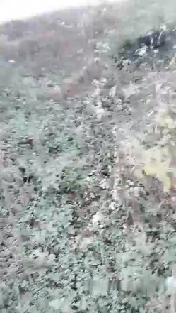 红衣少妇驾车户外野外草地和炮友啪啪 脱掉衣服地上后入骑乘抽插非常诱人 截图5