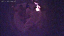 酒店情趣圆床偷拍 ️夫妻带孩子开房孩子睡着后开始激情干炮 截图6
