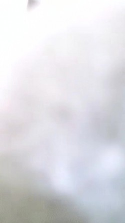【骚宝未婚女】，SPA养生馆偷拍，阴毛浓密的少妇，按摩几下就水汪汪，无套爆操，抽插爽歪歪 截图5