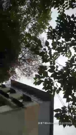 帅气小伙野鸡一条街挑选心仪的妹子啪啪，逛了几个店找了短裙少妇跟随金屋啪啪，脱光了一顿猛草后入射精 截图7