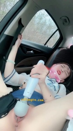 颜值不错苗条小少妇户外车内自慰 情趣装乳夹拨开丁字裤按摩器震动逼逼 截图7