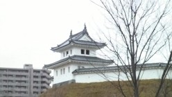OLM-362 截图6