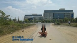 万人求购，推特反差婊，顶级绿帽骚妻【嫂子爱露出】一女战多男，群P大乱交，捆绑调教野战 截图8
