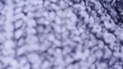 约啪大神【ICICIS】最新约炮多位 顶美女大 户外车震 办公室草逼 情趣黑丝 各种啪啪 截图9