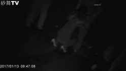 【猎奇资源 砂舞】舞厅内的淫乱 重金属质感般的性爱 抓奶+抠逼+摸屌+口爆+打站桩+站炮 淫乱篇 截图16