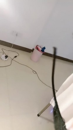 两个颜值女神全裸自慰，大玉米道具插穴，高挑模特身材，相互沙发舔逼 截图2