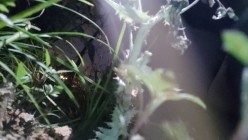 顶推重磅福利，大神高价自购海角万人追踪反差婊【胡九万（原小芳姐姐）】最全合集，性奴调教啪啪各种花样，秒懂下 截图9