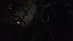 顶推重磅福利，大神高价自购海角万人追踪反差婊【胡九万（原小芳姐姐）】最全合集，性奴调教啪啪各种花样，秒懂下 截图10
