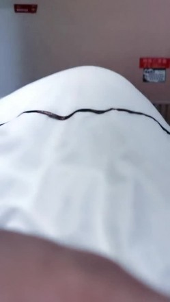 嫂子回来了全露脸性欲旺盛，用奶子撩骚大哥的鸡巴口交，让大哥后入爆草闯红灯模式抽插，浪荡呻吟搞了一逼血 截图2