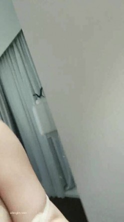 23岁校花【橙子不甜】酒店约炮 操逼干一整天 精子射人干残 截图12
