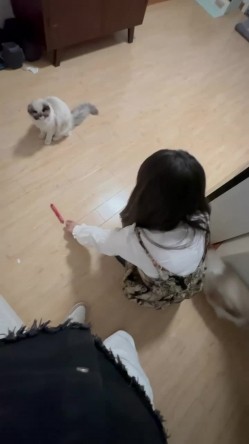 高端泄密流出 ️美女大学生小吴兼职做钟点工给人喂猫被男雇主骗上床大屌后入 截图1