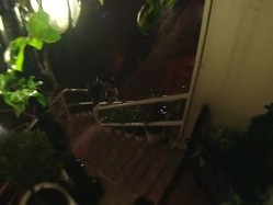 强奸5之广告诱惑 截图7