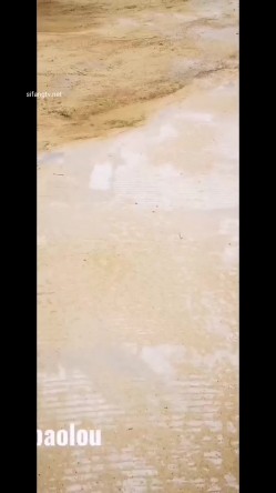 人前露出~超刺激露出系【风筝断了线】农户家中全裸露出，勾引农民伯伯，帮人家打飞机，拉着伯伯的手放到逼里玩，弄出骚味淫水 刺激！ 截图14