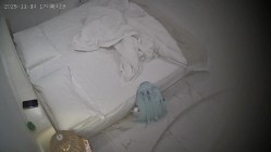 酒店偷拍 本周最佳妹子一边和男友操穴一边美团买了验孕棒测试还买了药物-复方甲硝磋阴道栓 截图3