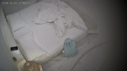 酒店偷拍 本周最佳妹子一边和男友操穴一边美团买了验孕棒测试还买了药物-复方甲硝磋阴道栓 截图4
