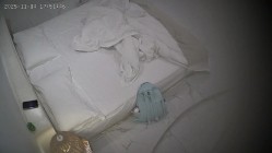 酒店偷拍 本周最佳妹子一边和男友操穴一边美团买了验孕棒测试还买了药物-复方甲硝磋阴道栓 截图5