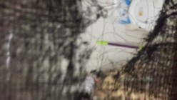 没什么经验现场天花板偷拍美乳少妇阿姨洗澡，怕被发现手还不停的抖，不过看见是真的值！ 截图5