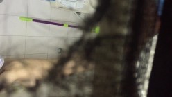 没什么经验现场天花板偷拍美乳少妇阿姨洗澡，怕被发现手还不停的抖，不过看见是真的值！ 截图14