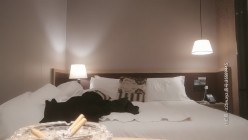 探花朗李寻欢_第二场啪啪超高颜值素颜美女，药劲过大没搞出来翻车3 截图15