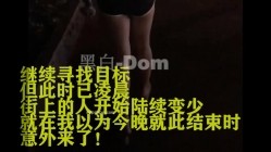 大佬黑白DOM老Zz字母交流圈封神作品反差母狗SM调教群P大神 截图9