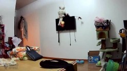 《居家摄像头破解》偷窥刚洗完澡就迫不及待开炮的小夫妻 截图1