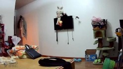 《居家摄像头破解》偷窥刚洗完澡就迫不及待开炮的小夫妻 截图2