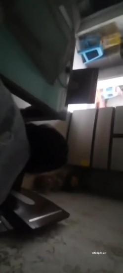真实母狗邻居【独恋猫猫】 调教邻居母狗，露脸，喝尿，操尿，SM，骚话对白，捆绑，毒龙，三通，装修新房里干 截图7