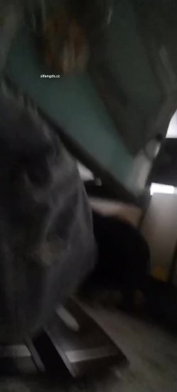 真实母狗邻居【独恋猫猫】 调教邻居母狗，露脸，喝尿，操尿，SM，骚话对白，捆绑，毒龙，三通，装修新房里干 截图10