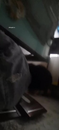 真实母狗邻居【独恋猫猫】 调教邻居母狗，露脸，喝尿，操尿，SM，骚话对白，捆绑，毒龙，三通，装修新房里干 截图11