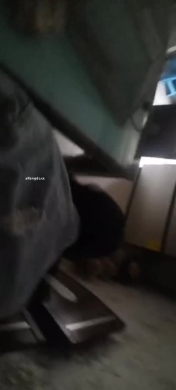 真实母狗邻居【独恋猫猫】 调教邻居母狗，露脸，喝尿，操尿，SM，骚话对白，捆绑，毒龙，三通，装修新房里干 截图12