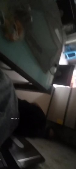 真实母狗邻居【独恋猫猫】 调教邻居母狗，露脸，喝尿，操尿，SM，骚话对白，捆绑，毒龙，三通，装修新房里干 截图13