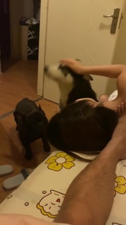 【网曝热门事件 震惊】超火爆吉林女孩岳欣玥最新性爱视频流出 黑鬼6P黑丝 皮鞭SM爆菊 日常全裸操 高清720P原版 截图1