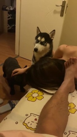 【网曝热门事件 震惊】超火爆吉林女孩岳欣玥最新性爱视频流出 黑鬼6P黑丝 皮鞭SM爆菊 日常全裸操 高清720P原版 截图8